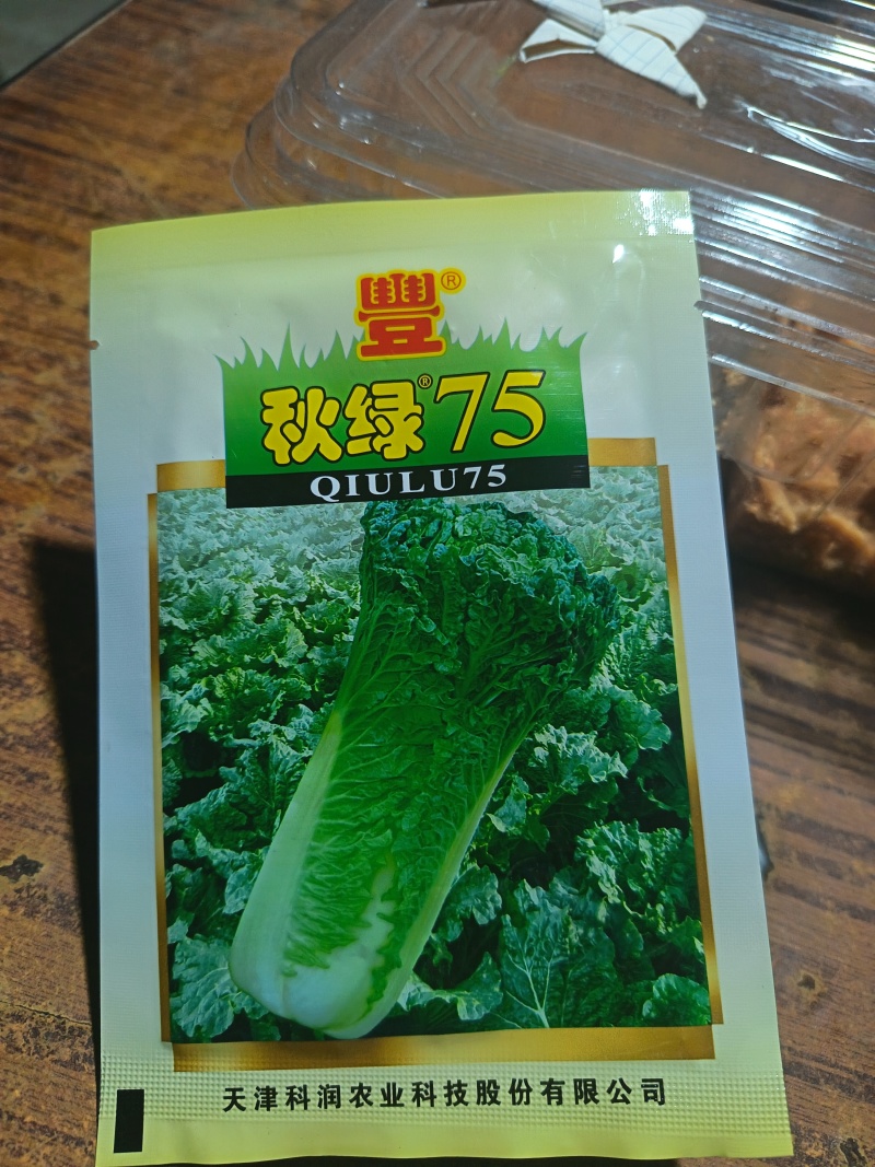 75日白菜过程给钱自己来拉