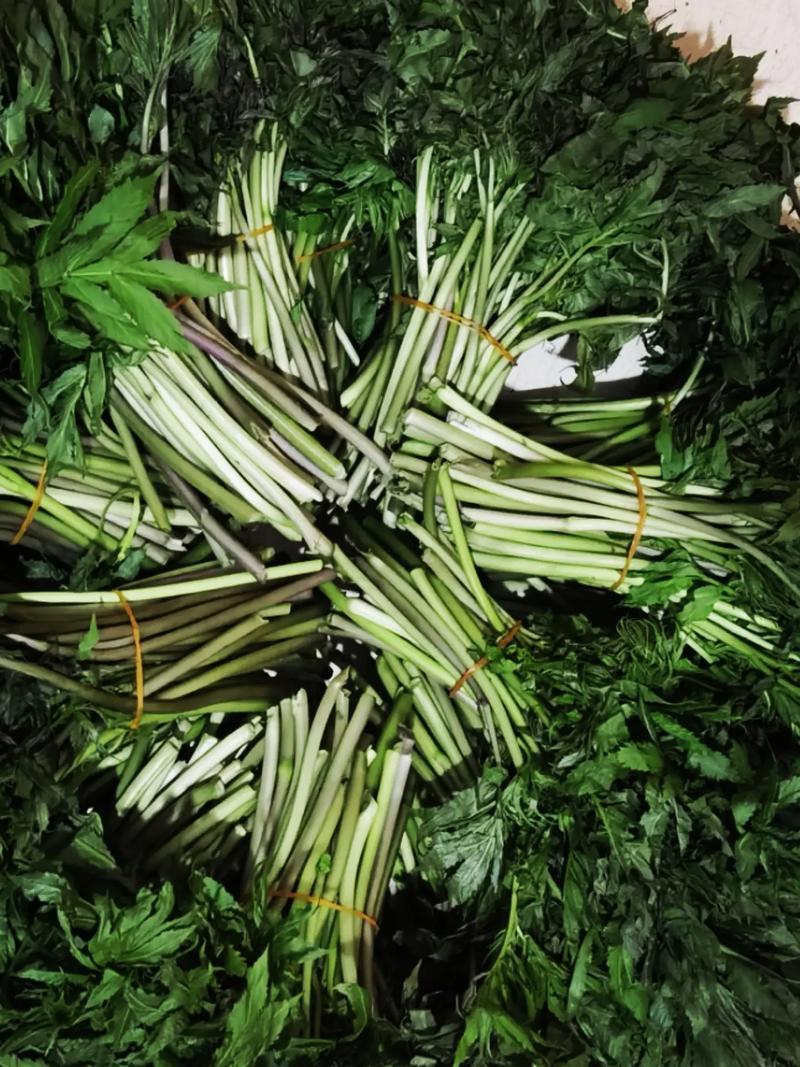 高山雪芽菜！低温烘干和鲜品提前预定