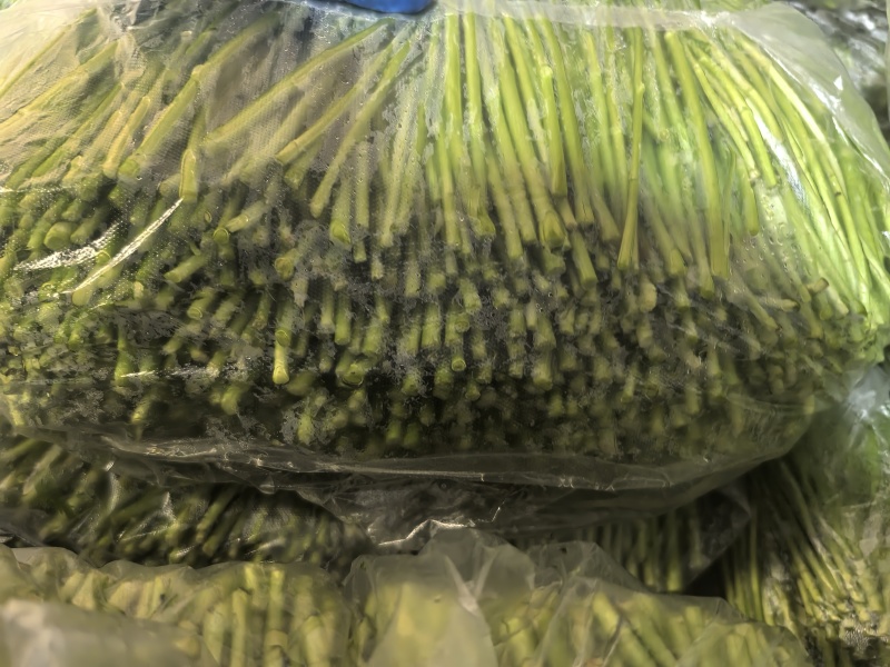江苏产地大棚芦蒿全国发货对接电商市场商超可视频
