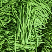 白不老豆王小金豆大量有货，承接社区团购