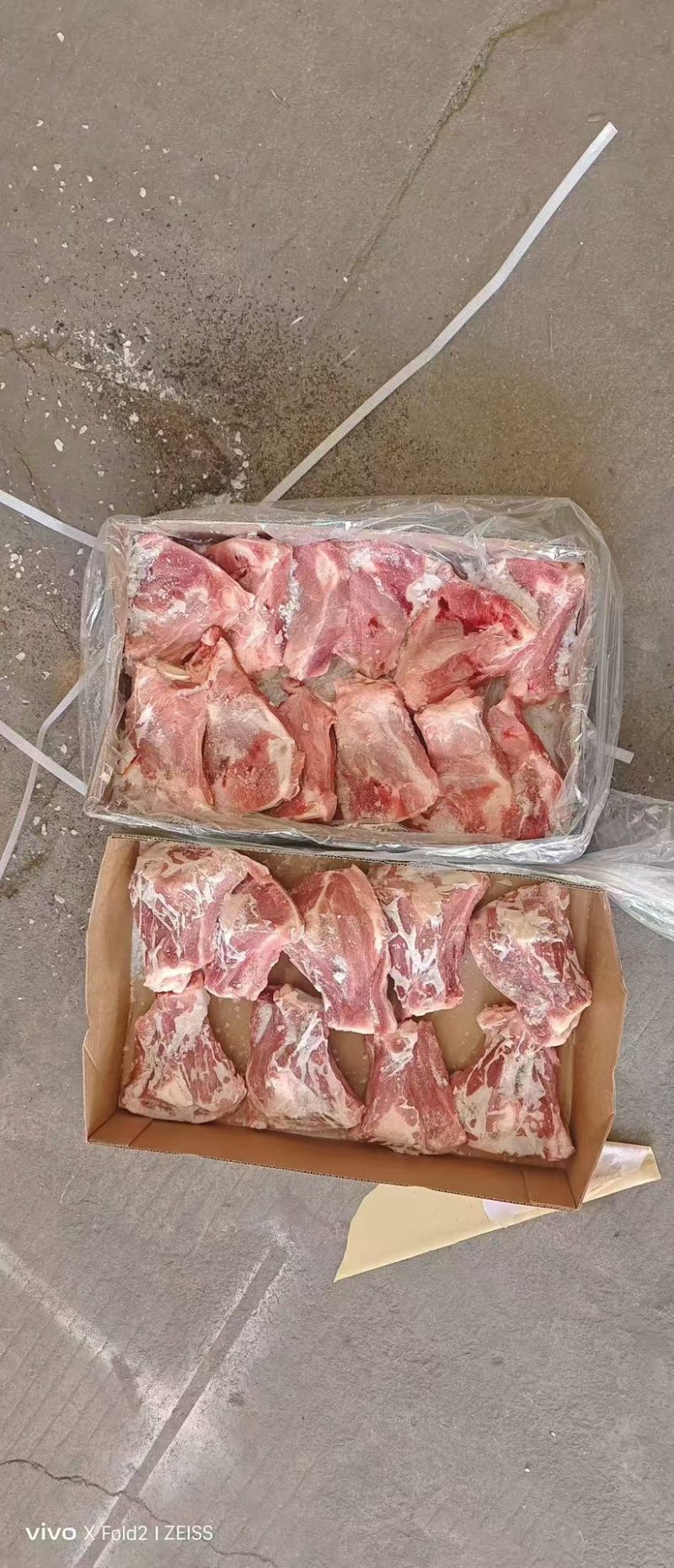 肥猪扇子骨，19-25个
