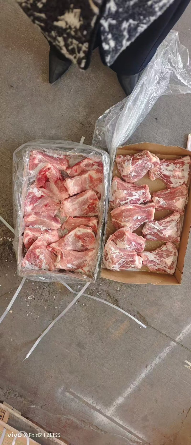 肥猪扇子骨，19-25个