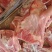 肥猪扇子骨，19-25个