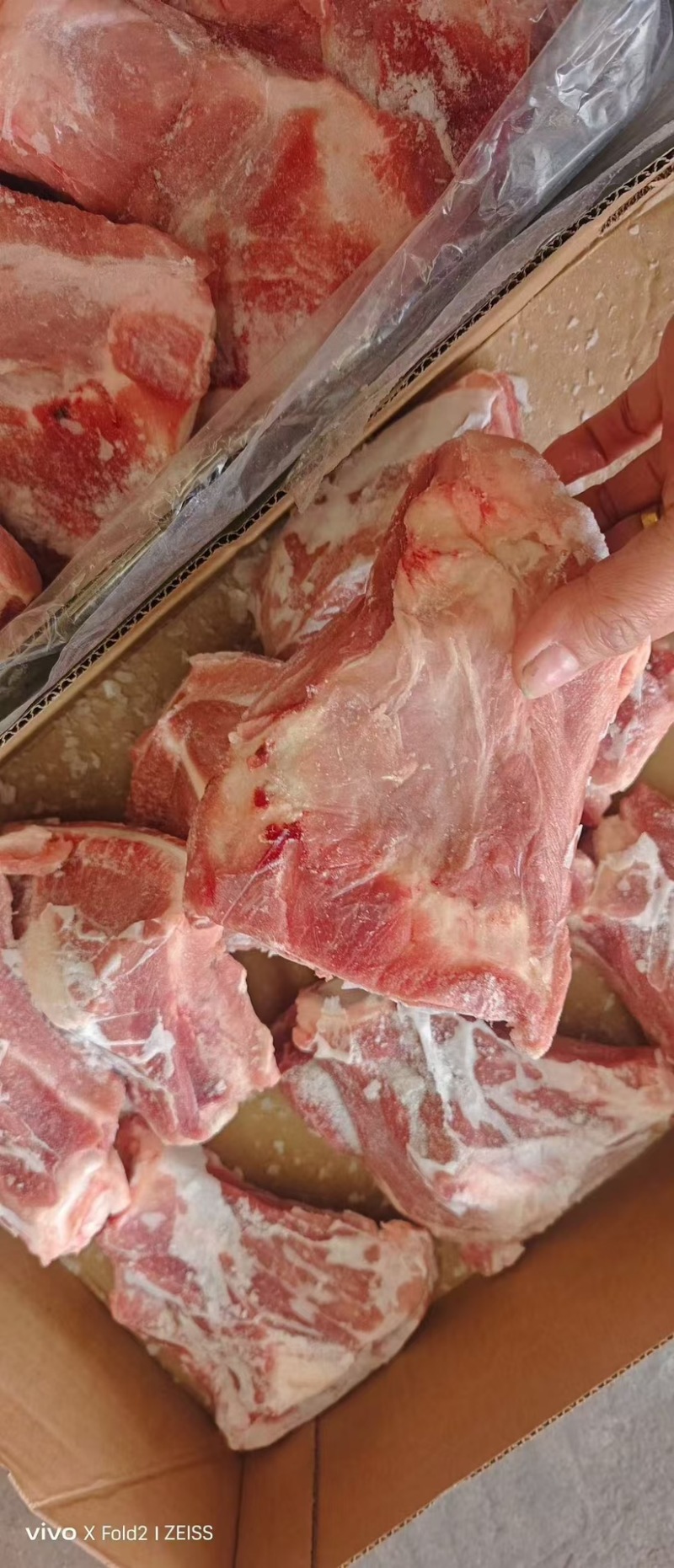 肥猪扇子骨，19-25个