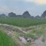 【广西特产】桂林荔浦马蹄水果马蹄荸荠产地直销