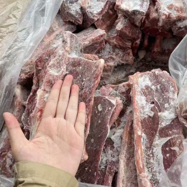满肉羊短脊骨超满肉