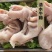 去骨带筋熟牛蹄