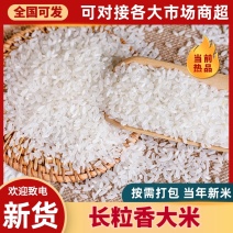 【精品】长粒香大米10斤精品新米真空袋包邮一件代发