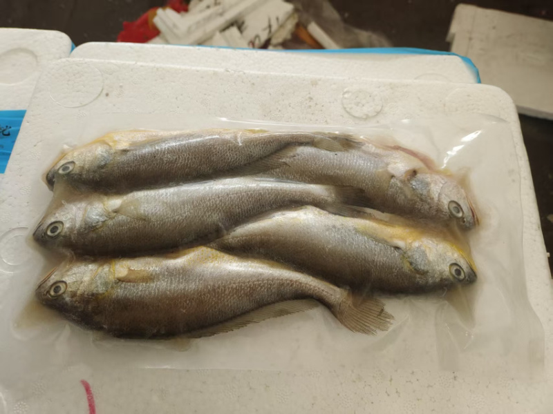 三去小黄鱼