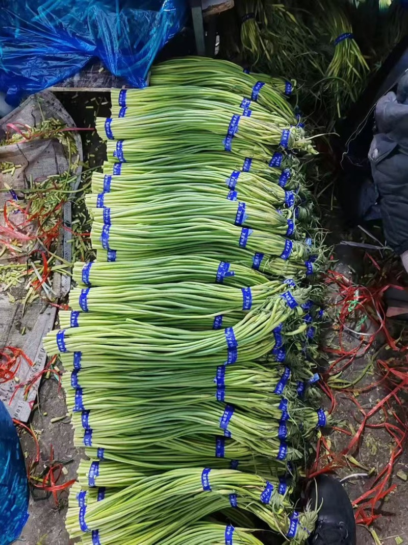 🔥🔥赶大集必用不要错过哦有需要你就来