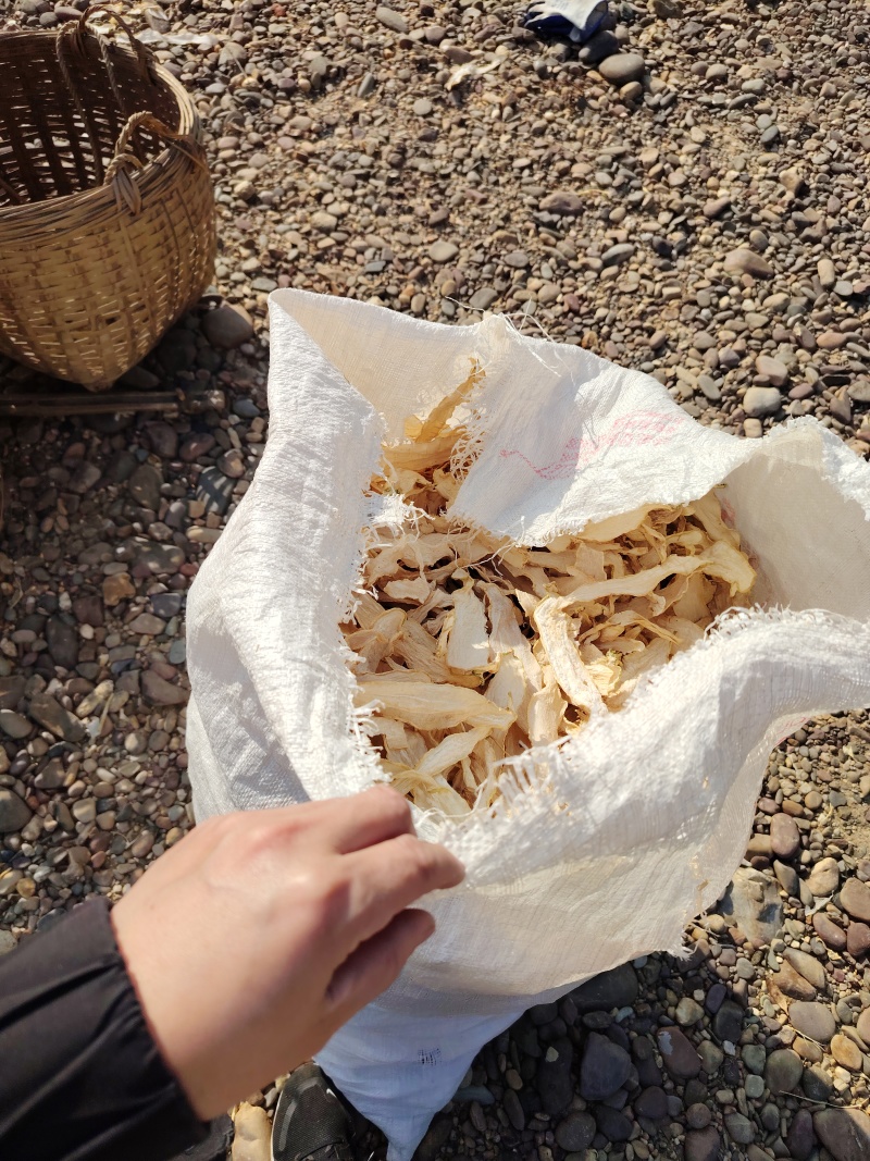 萝卜片天然晾干