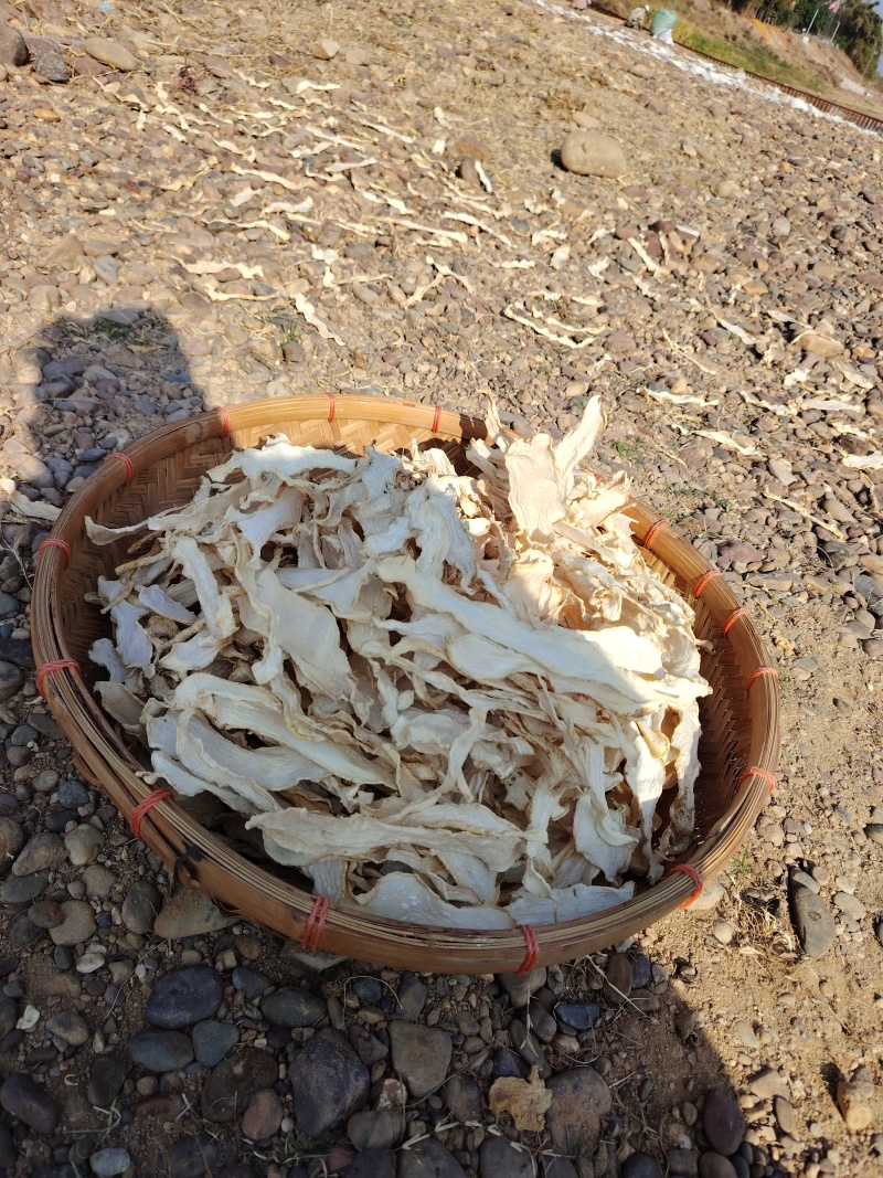 萝卜片天然晾干