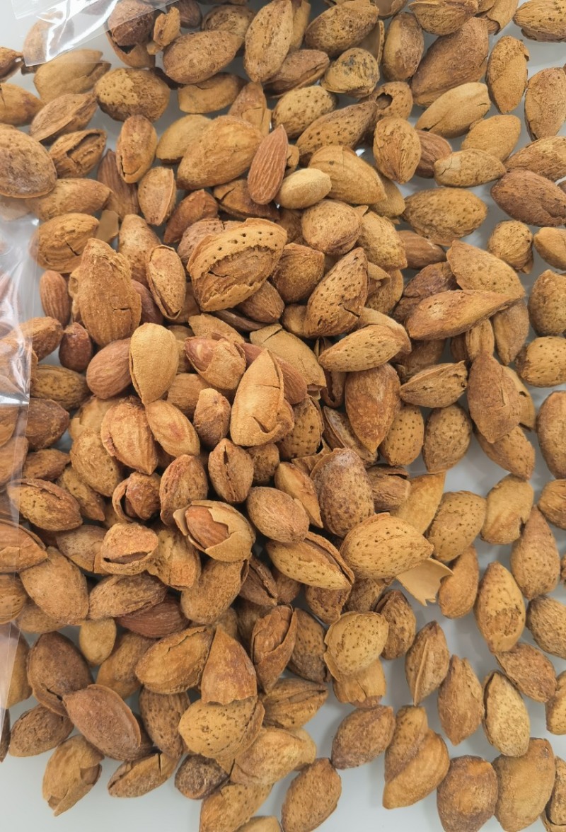 纸皮巴旦木新疆特产坚果零食