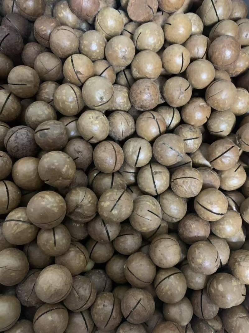夏威夷果（电商果，商超果，精品果）支持一件代发