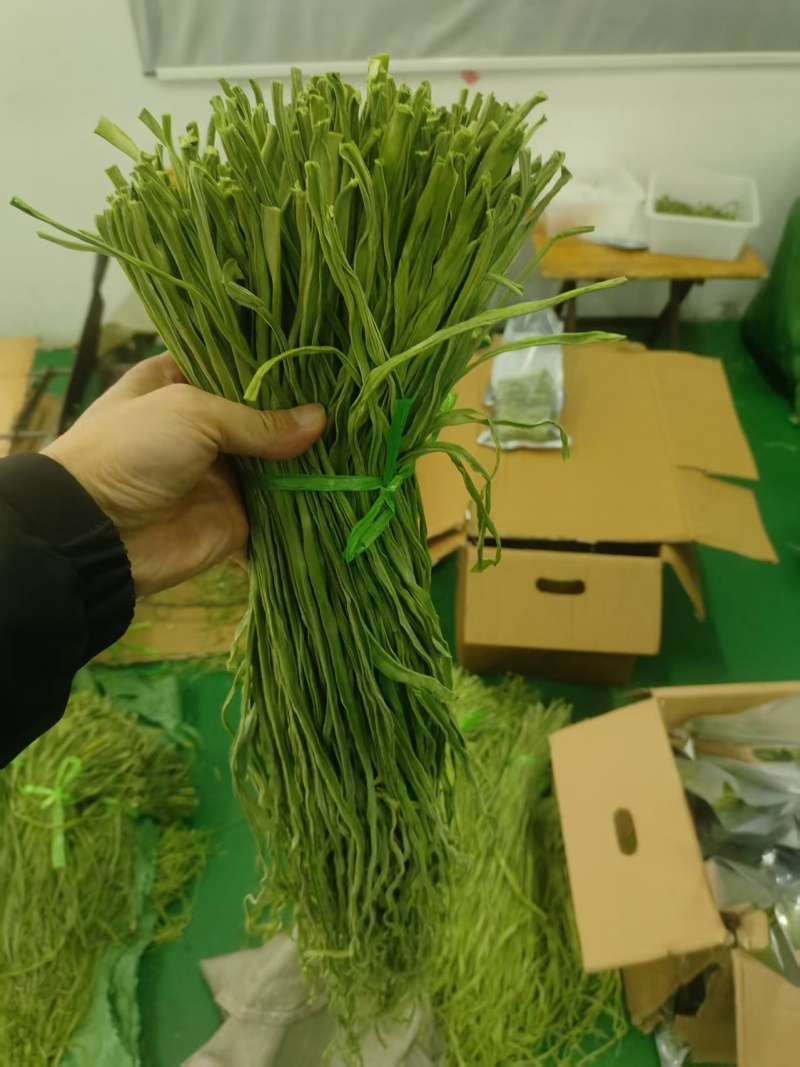 贡菜/安徽合肥庐阳区贡菜大量有货/支持视频看货