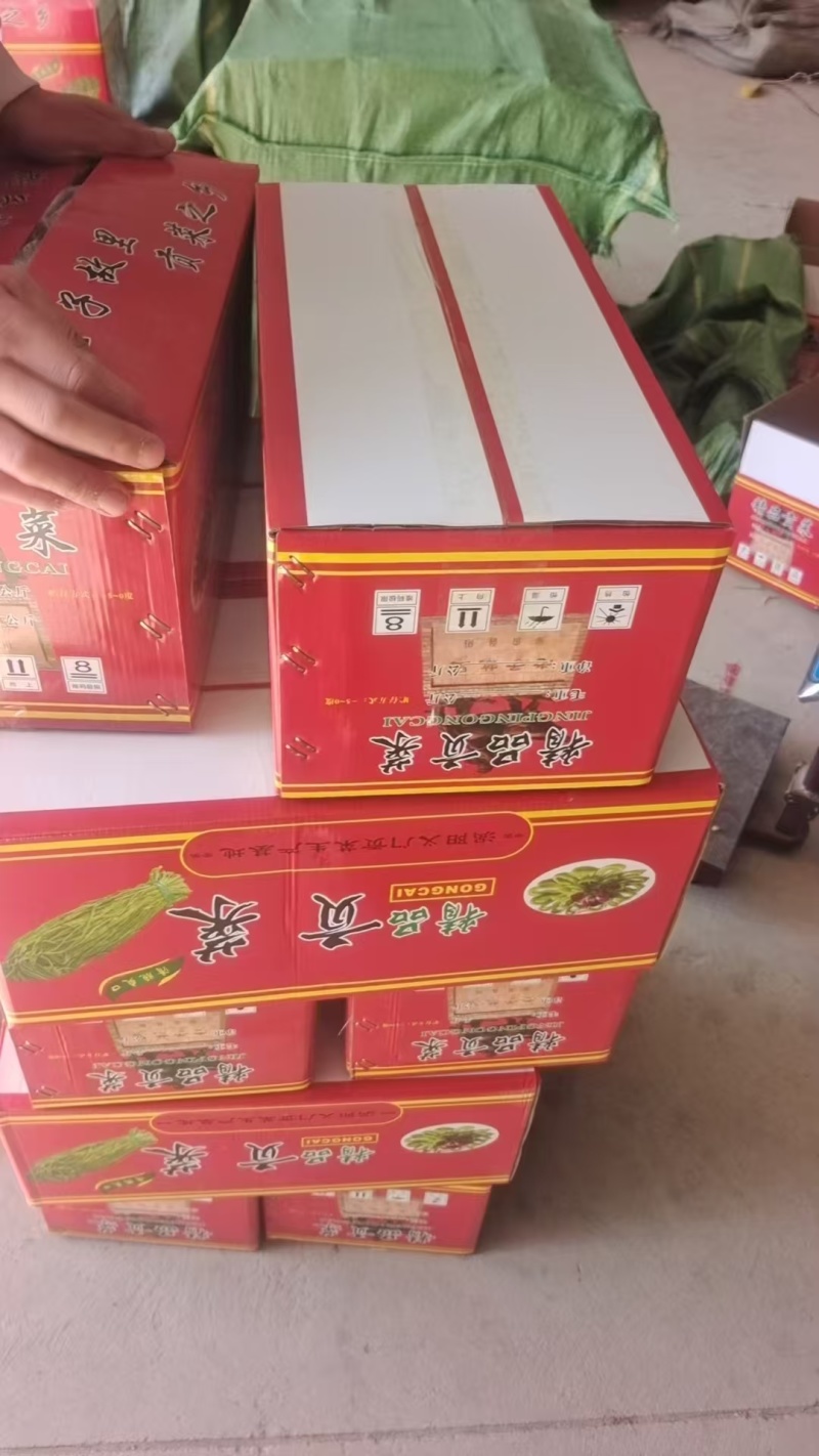 贡菜/安徽合肥庐阳区贡菜大量有货/支持视频看货