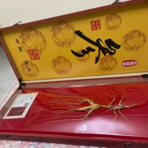 长白山林下参