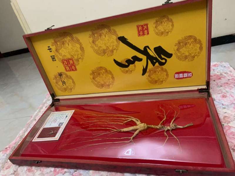 长白山林下参