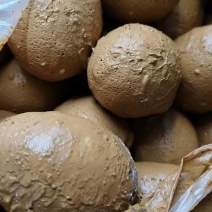 泥巴咸鸭蛋大量有货基地直供品质优可视频看货欢迎咨询来电