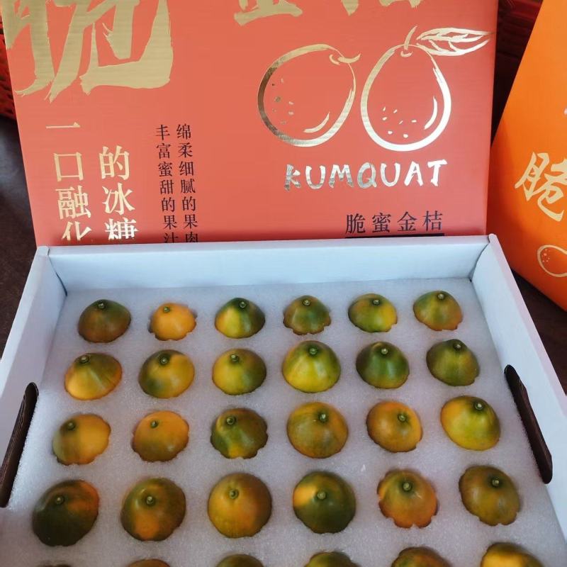 脆蜜金柑