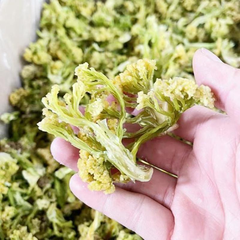 花菜干商用散花菜干青梗花菜干