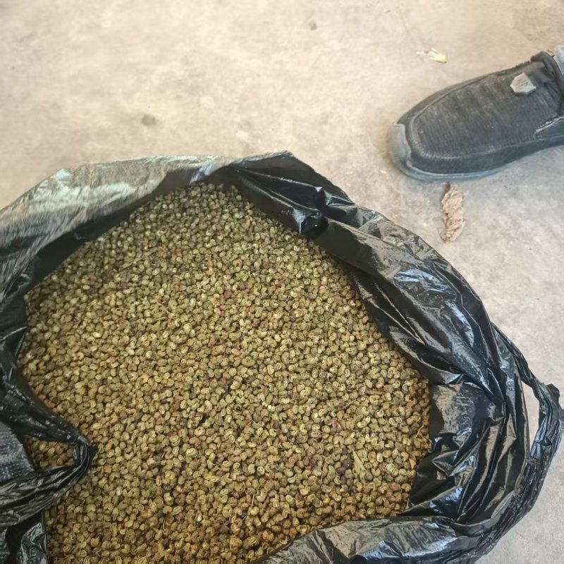金阳县青花椒产地供应量大从优质量保证欢迎咨询