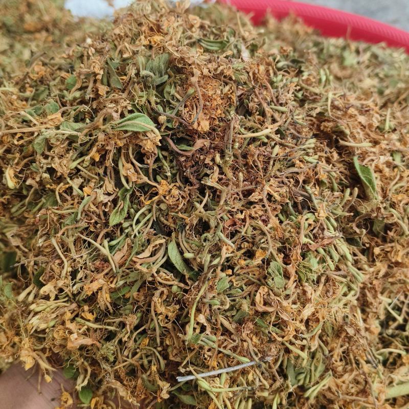 贵州黔西南安龙县长期直供中药材野生金银花支持视频看货