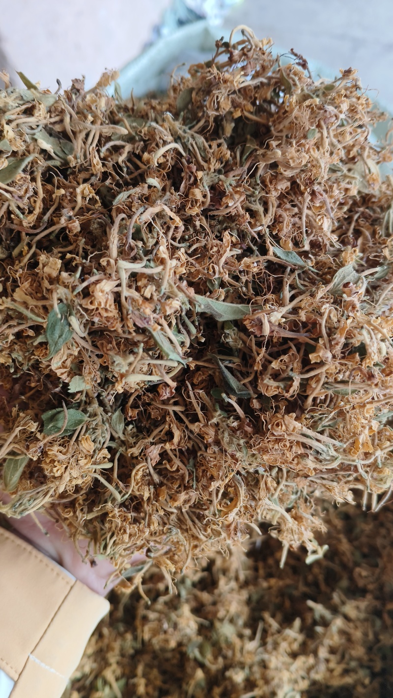 贵州黔西南安龙县长期直供中药材野生金银花支持视频看货