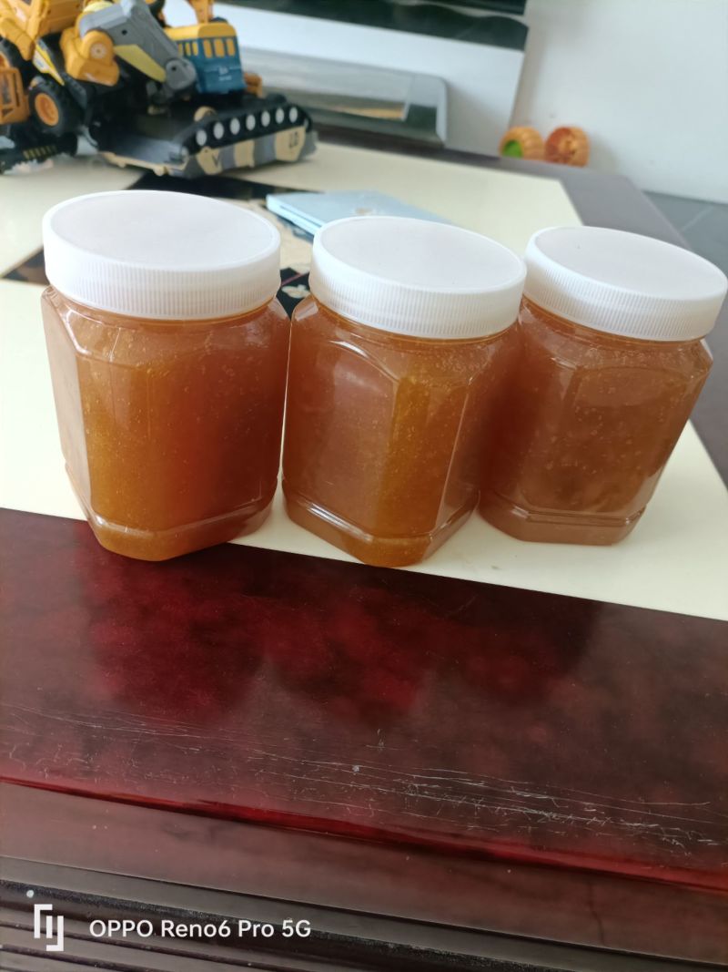 云南麻栗坡土蜂蜜