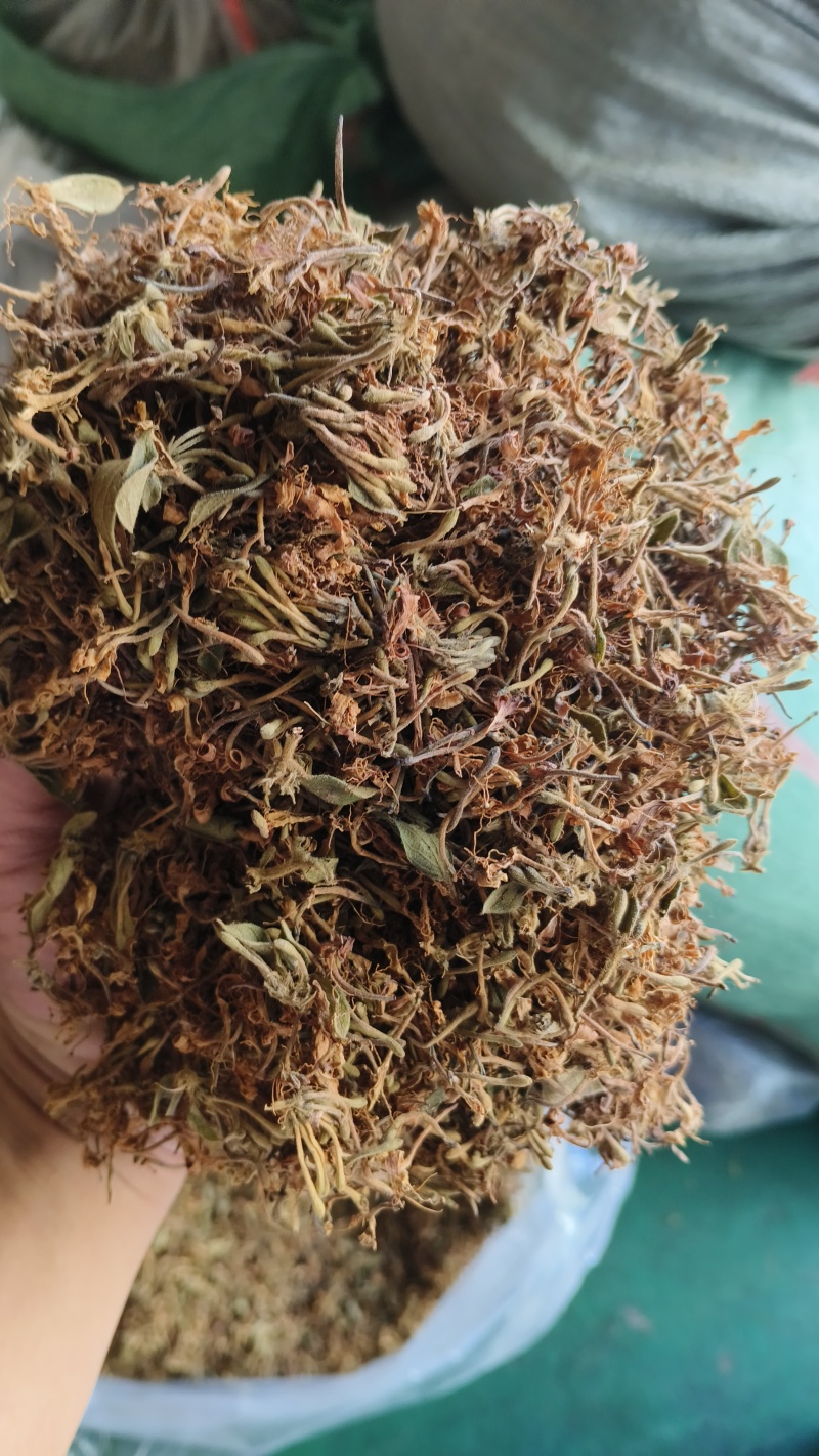贵州黔西南安龙县长期直供中药材野生金银花支持视频看货