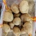 黄心土豆，三两通天，大量供应，欢迎采购。