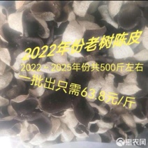 新会柑果皮