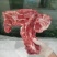 猪带肉胫骨