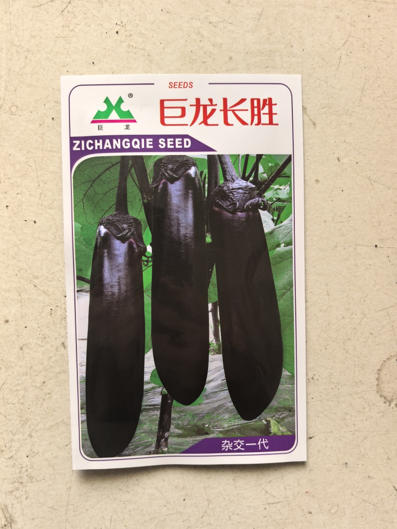 巨龙长胜长茄种子中早熟露地茄子种子基地高产好茄子种子