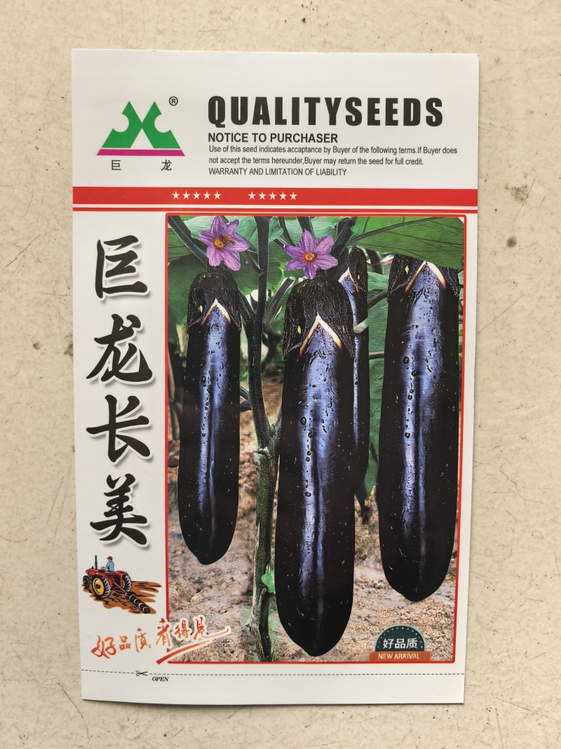 巨龙长美茄子种子中早熟杂交长茄种子高产基地黑紫皮