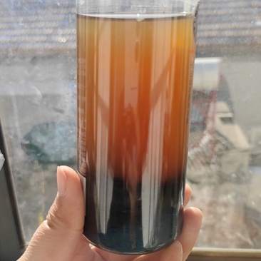 发酵羊粪