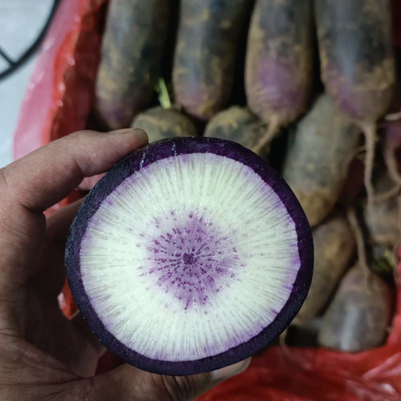 冷库储存冰激凌水果萝卜，可水洗加工精品货源