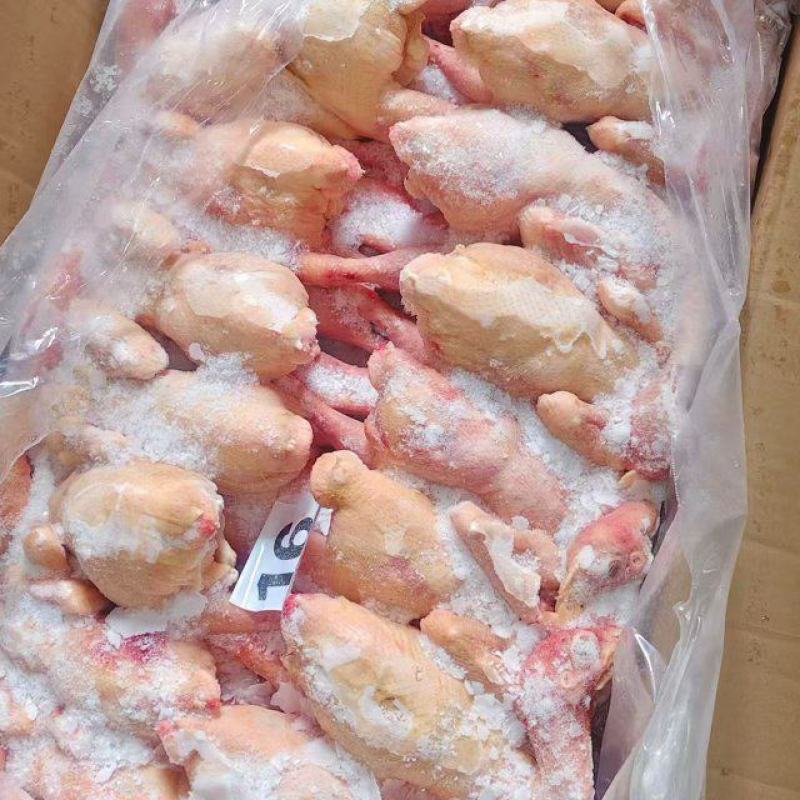 三黄鸡