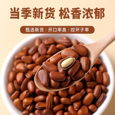东北松子专注线下，电商供应对接全国生意，欢迎采购