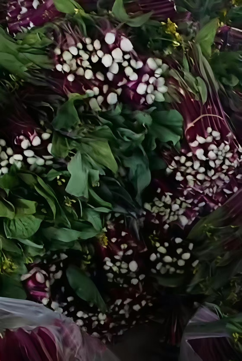 【推荐】湖北红菜苔/视频看货/对接电商商超批发市场