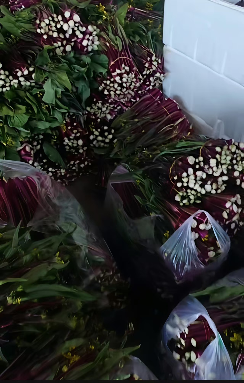 【推荐】湖北红菜苔/视频看货/对接电商商超批发市场