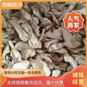 【精选】杏鲍菇片大型种植基地厂家直发量大价优一手货源