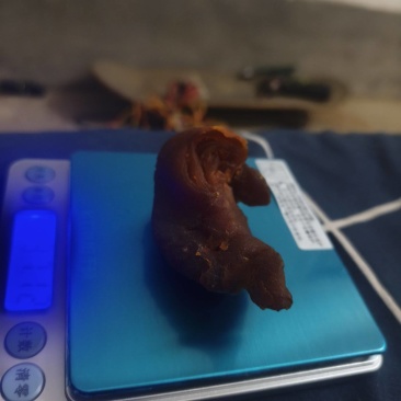 精品鸡宝已阴干可视频看货可全国发货欢迎致电咨询
