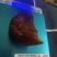 精品鸡宝已阴干可视频看货可全国发货欢迎致电咨询
