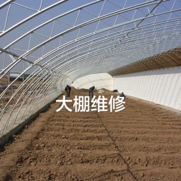 温室大棚维修中