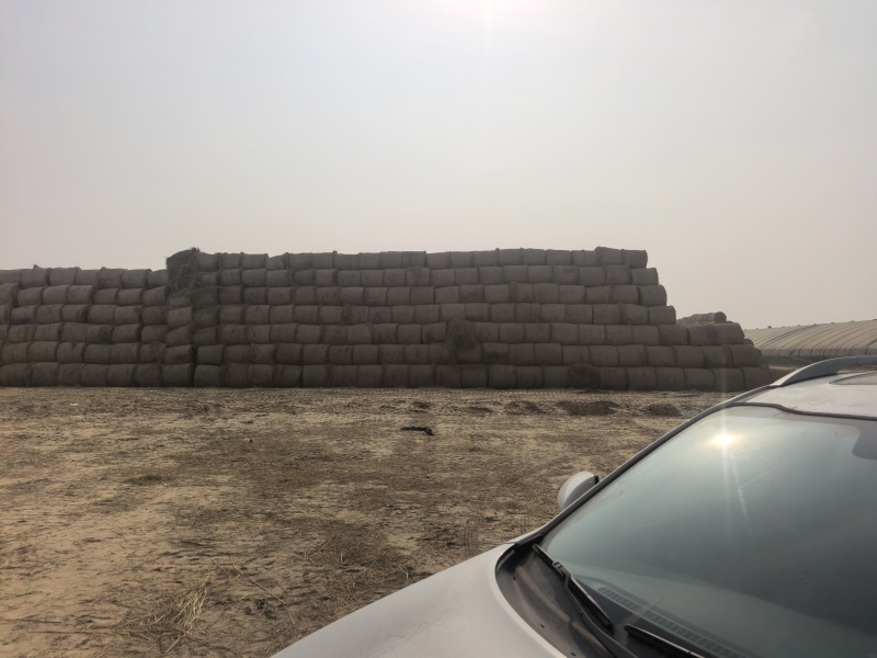 精品柔丝除尘5道绳稻草，水分安全，，保过夏