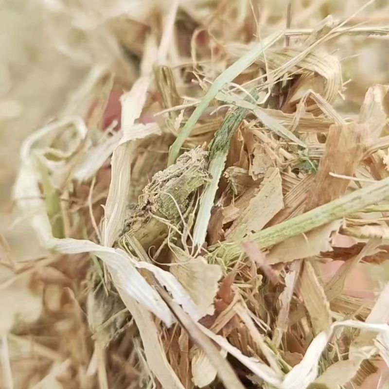 饲料级玉米秸秆，大量上市，全国发货，欢迎进店沟通。