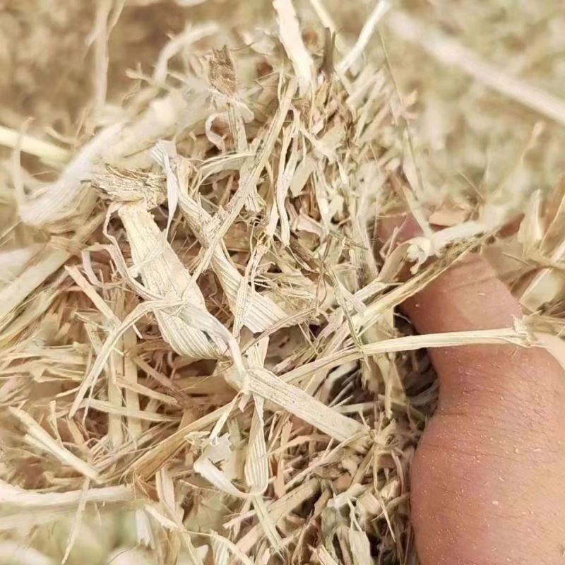 玉米秸秆饲料级，大量上市，全国发货，欢迎进店沟通。