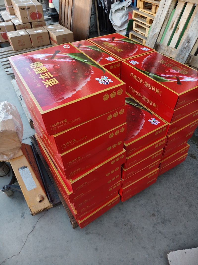 山东栖霞本地红富士等多品种苹果，条红片红，冷库非代办