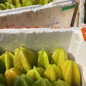 杨桃